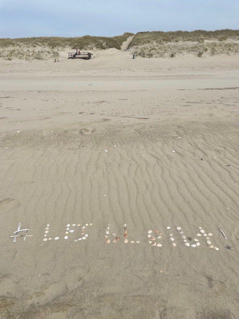 Muscheln am Strand zeigen die Schrift "#LFS bleibt!"