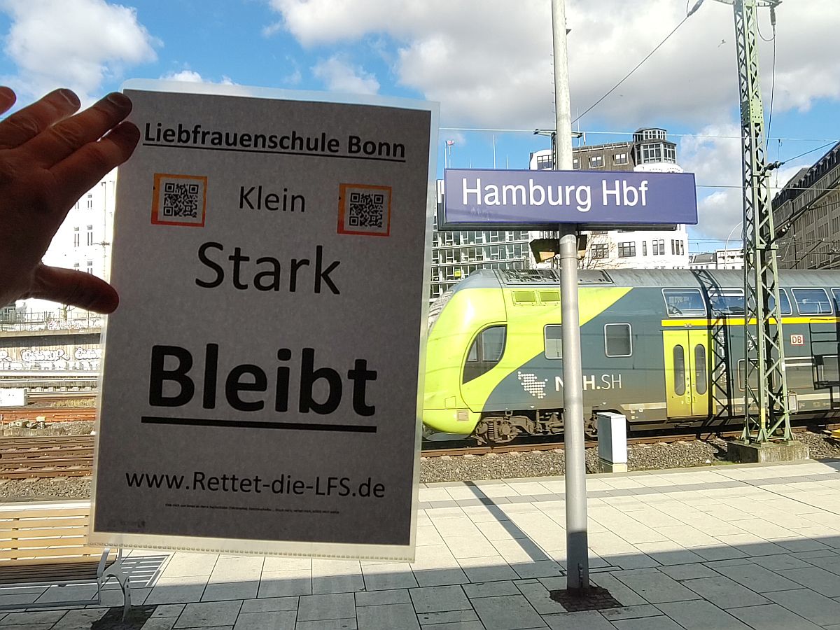 Zug am Hauptbahnhof Hamburg mit "klein stark bleibt Plakat"